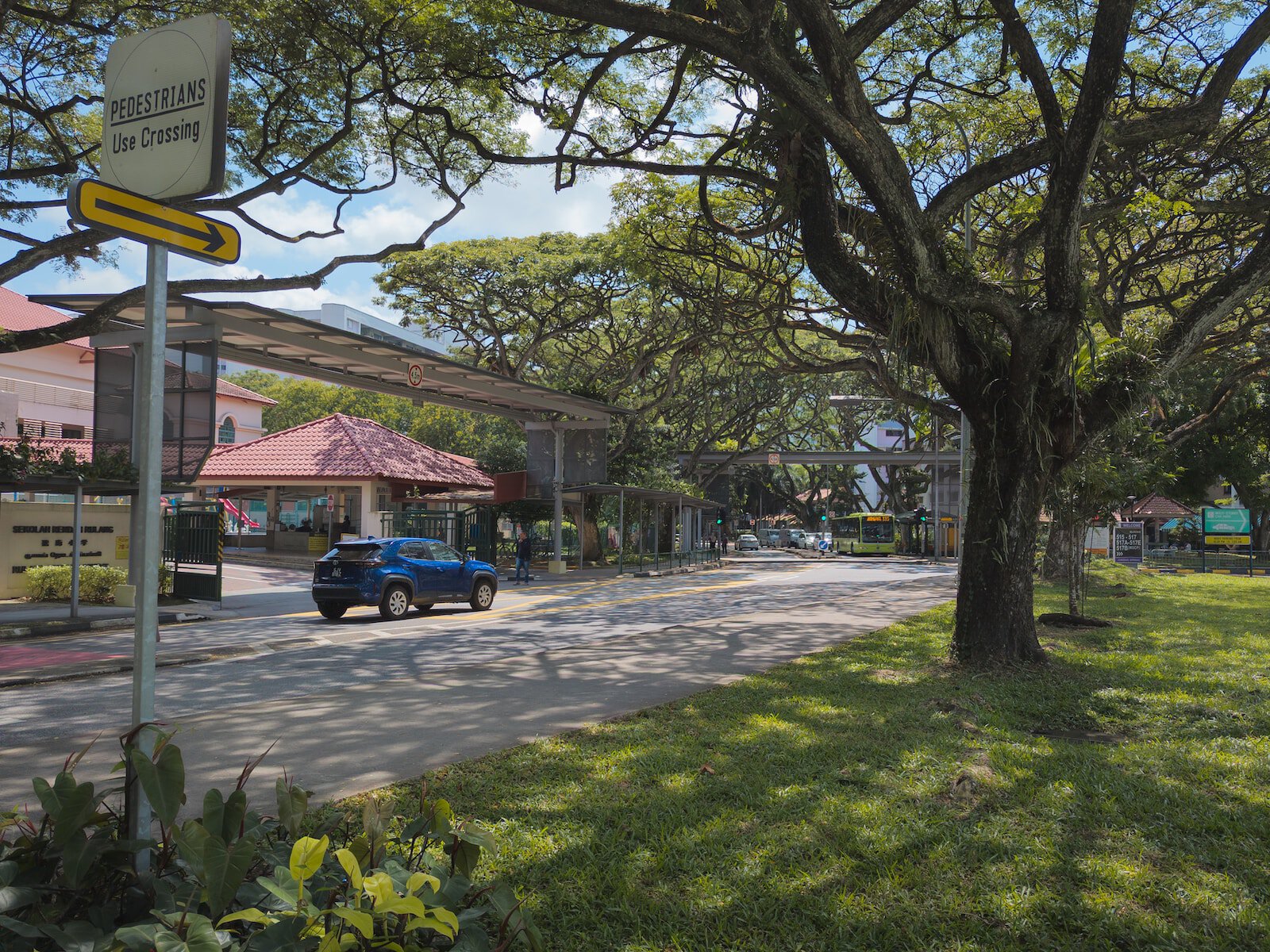 a blue car driving down a street next to a tree