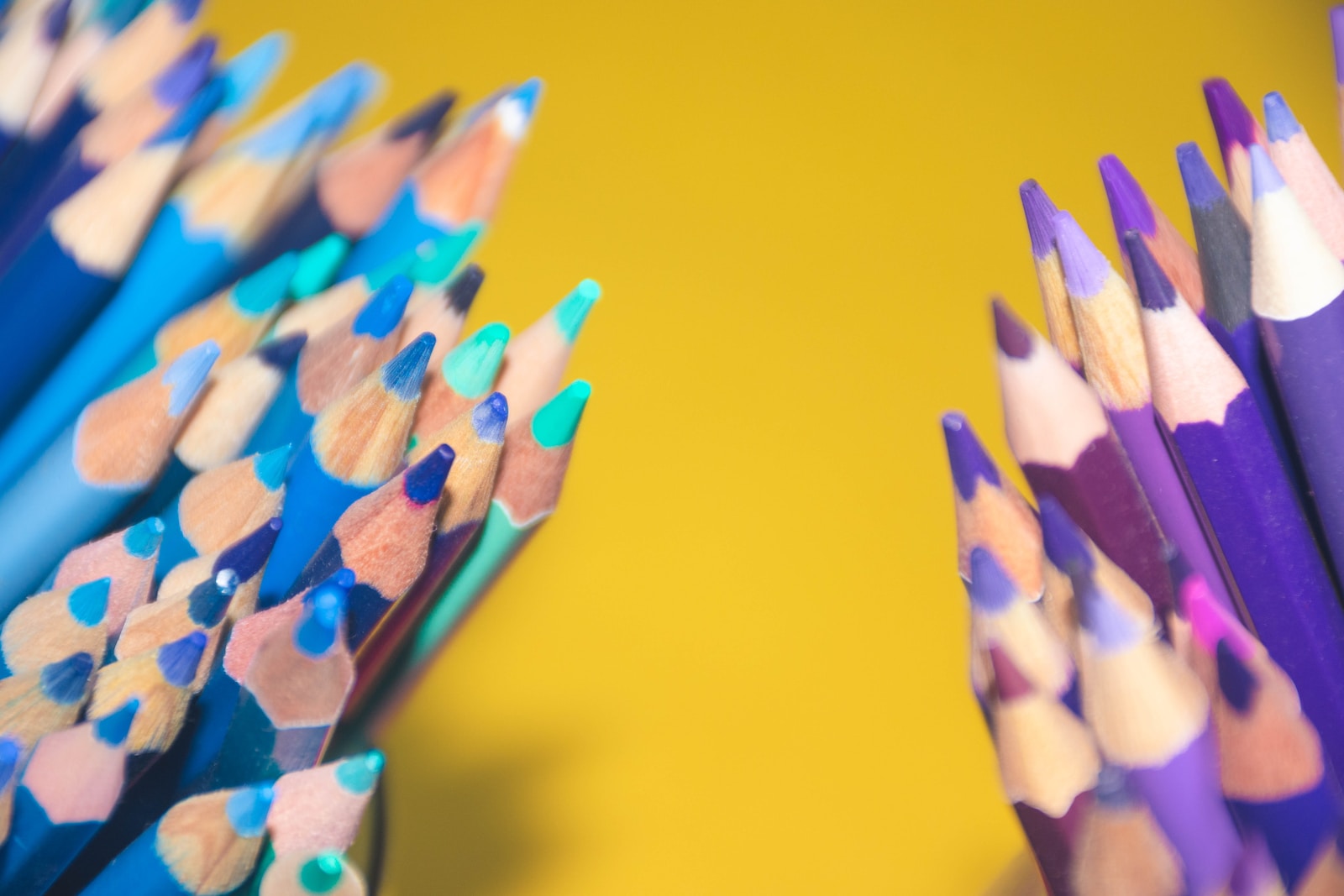 close up photo of colored pencils