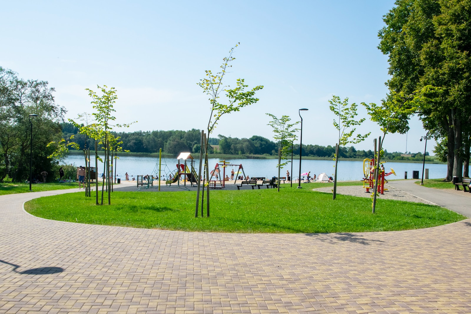 a park with benches and trees