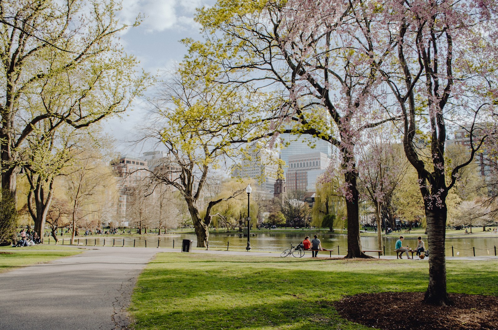 people walking on park during daytime