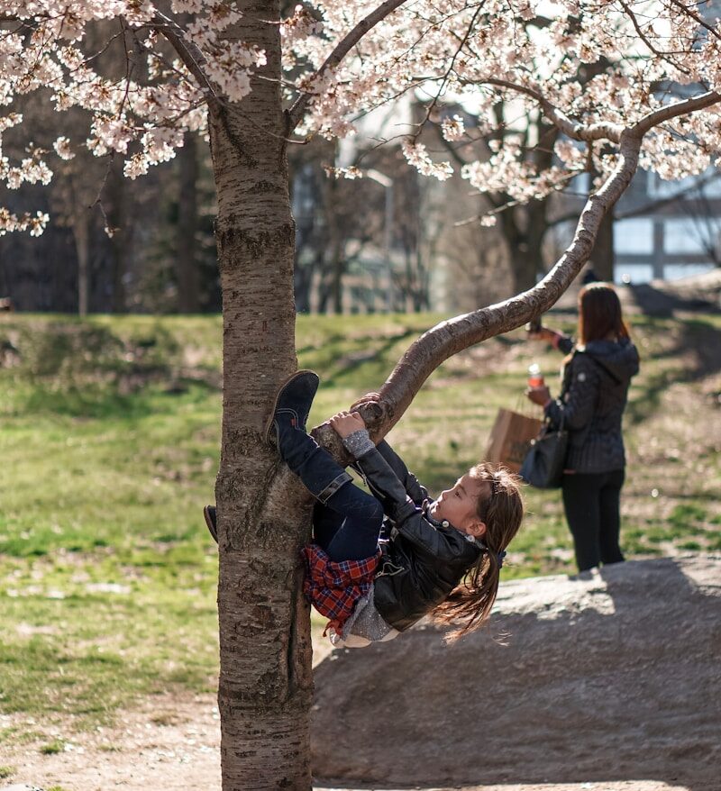 girl climbing tree during daytime