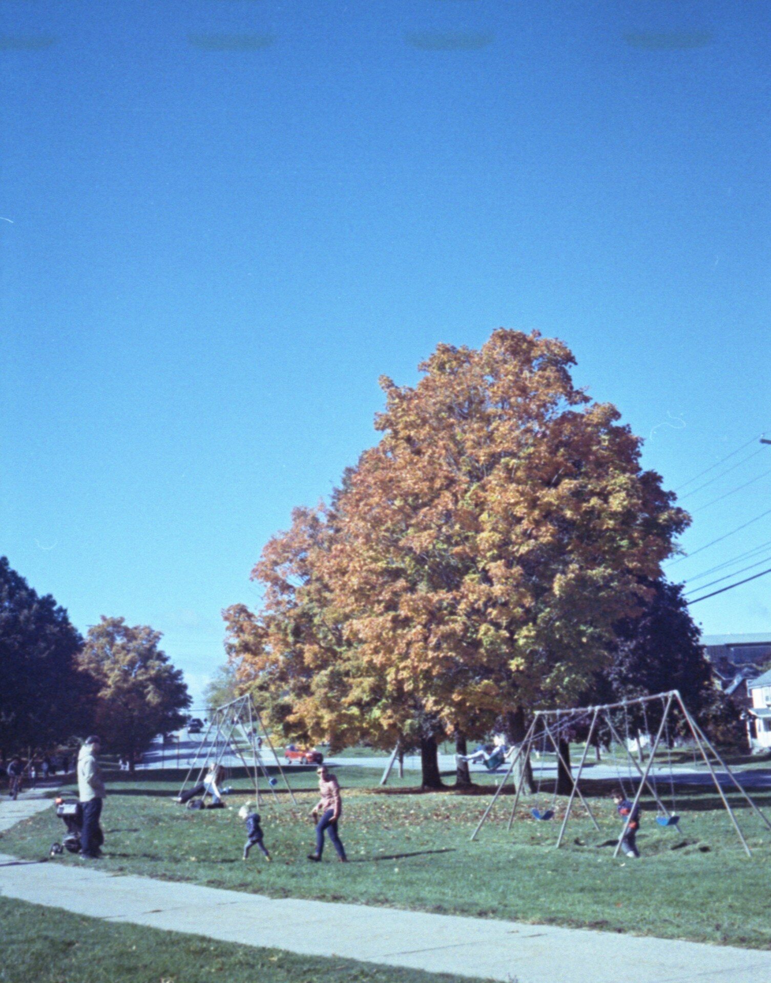 A group of people playing in a park