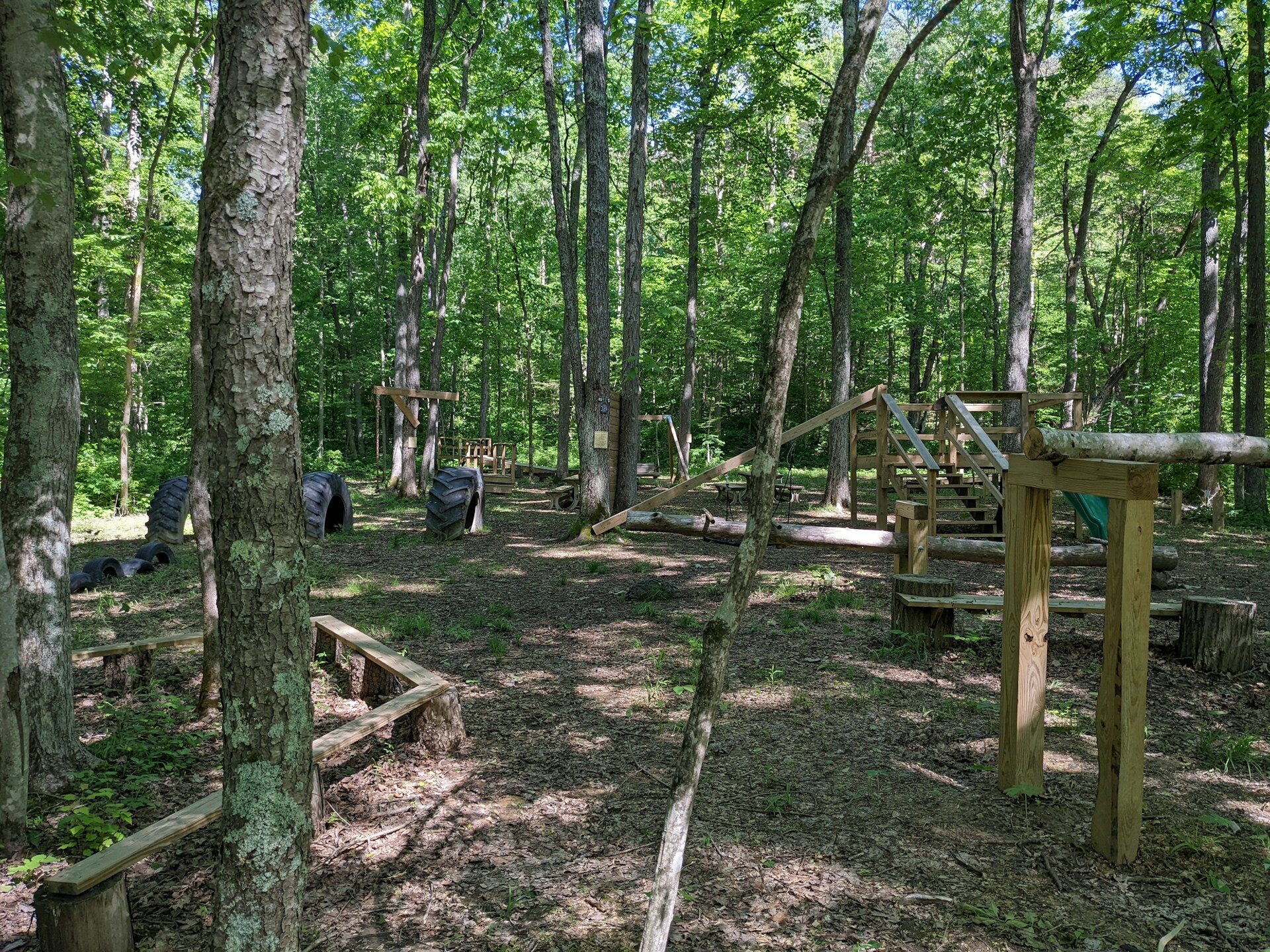 a wooden structure in the middle of a forest