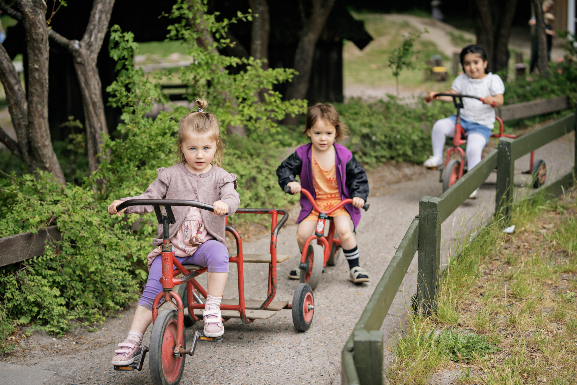2 ECEC 3 5yr Gender Girls